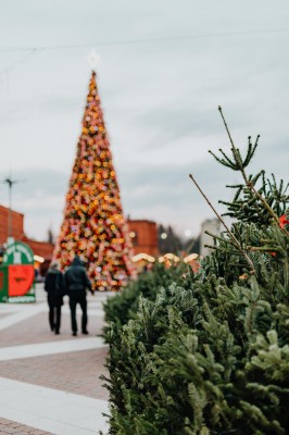 kaboompics_Christmas tree and decorations at the Manufaktura shopping mall