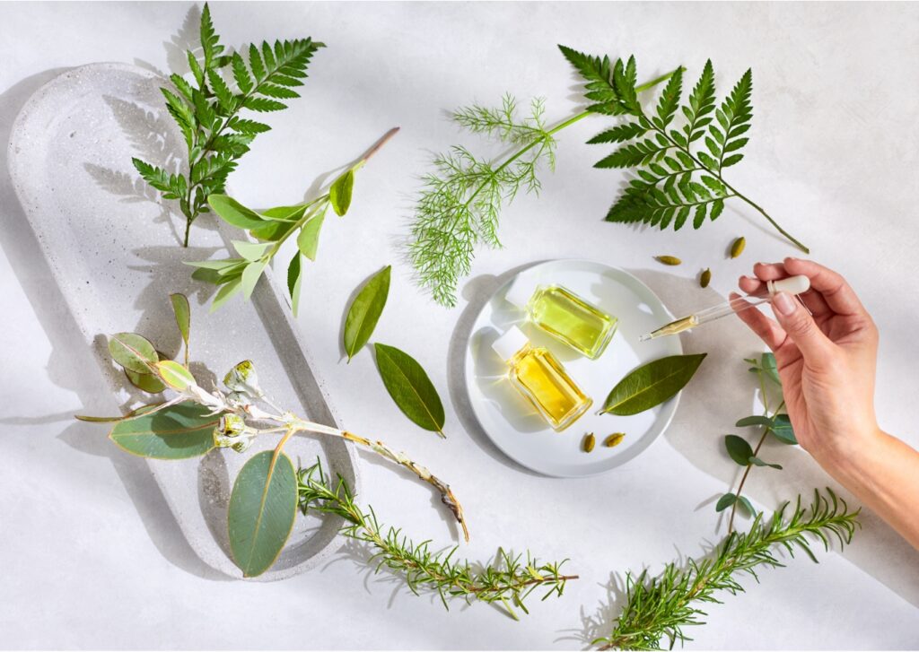 iroherb |＠アロマ2026